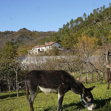 Ca Du Chittu * Carro