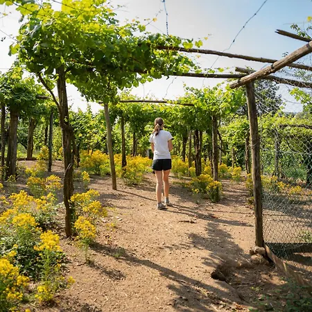 Ca Du Chittu דירה Carro