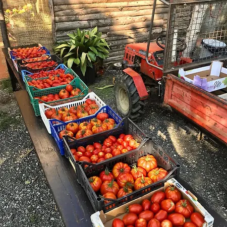 Apartament Ca Du Chittu *