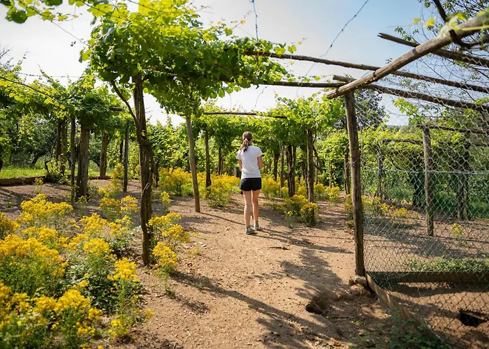 Ca Du Chittu 아파트 카로